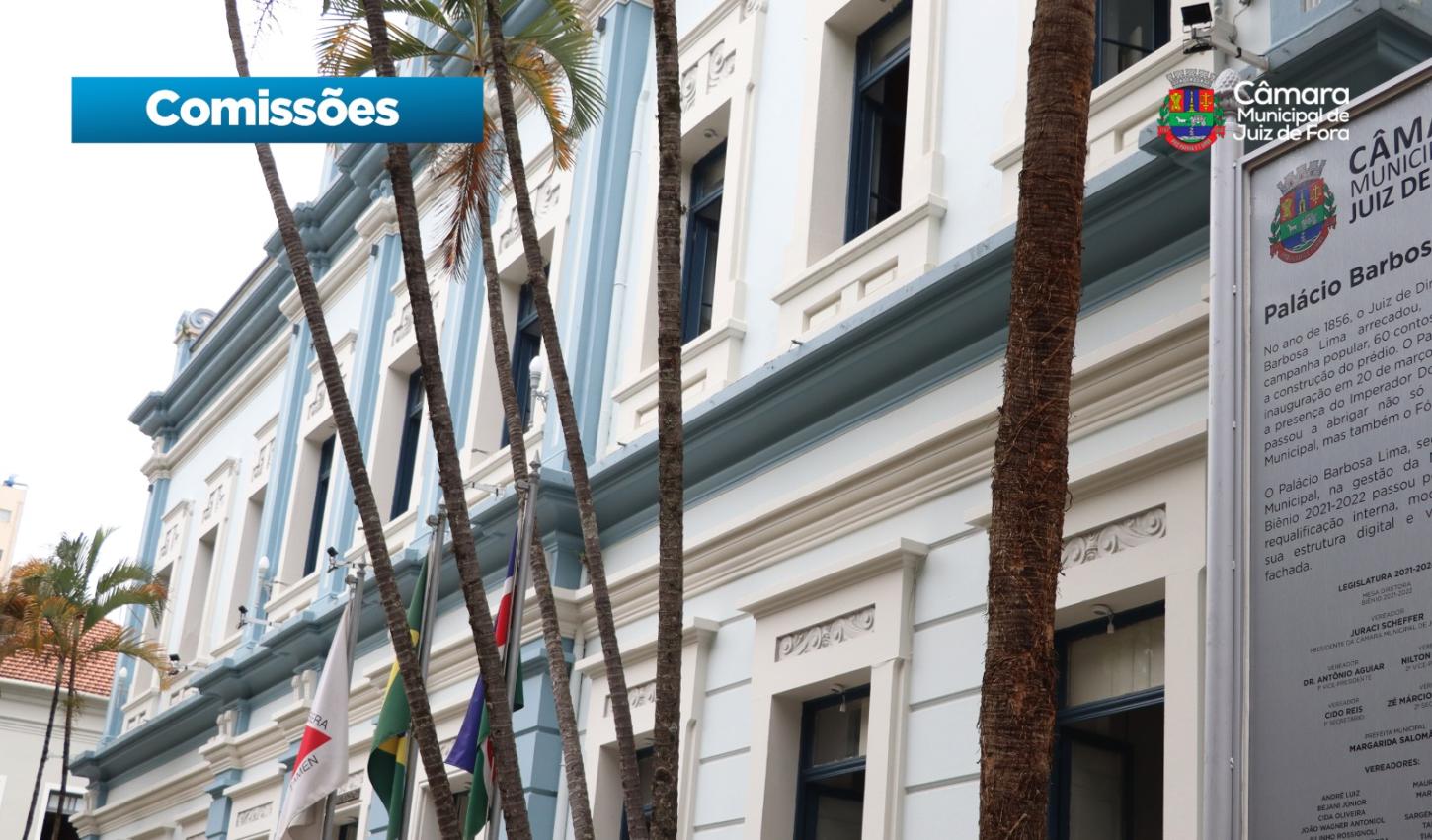 Câmara de Juiz de Fora define membros das 20 Comissões Permanentes para 2026