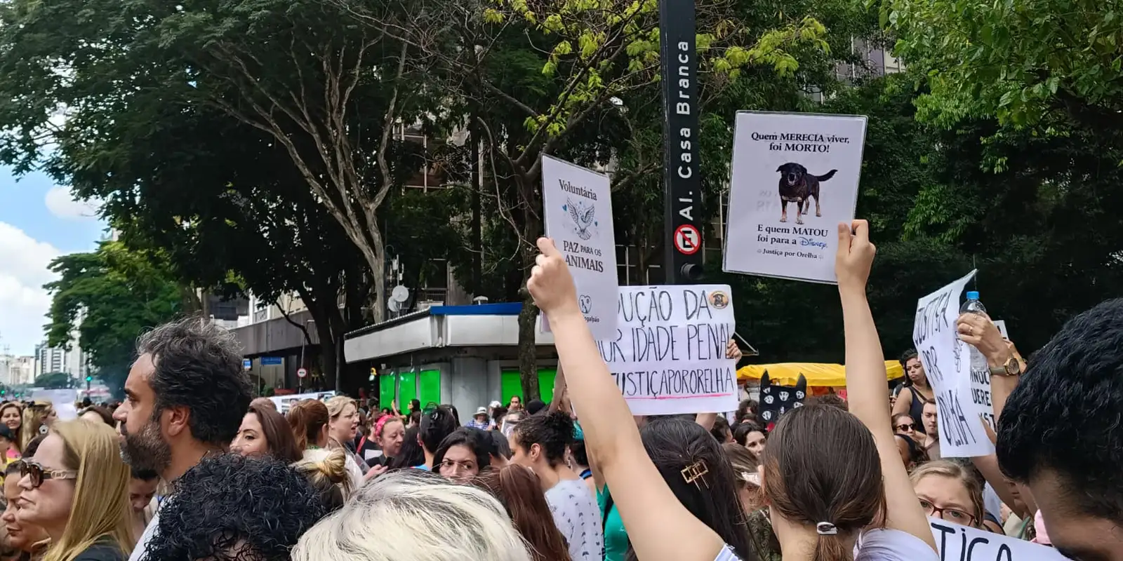 Centenas em São Paulo clamam por justiça para o cão Orelha