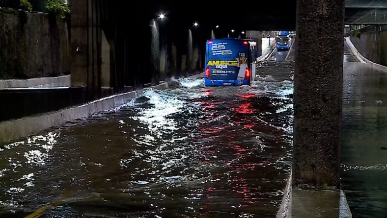 Chuva forte causa queda de árvore e alagamentos pontuais, mas sem vítimas graves em Juiz de Fora