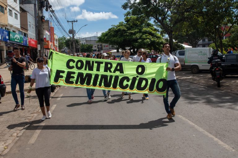 Comissão mista discute violência contra a mulher e a lei do feminicídio