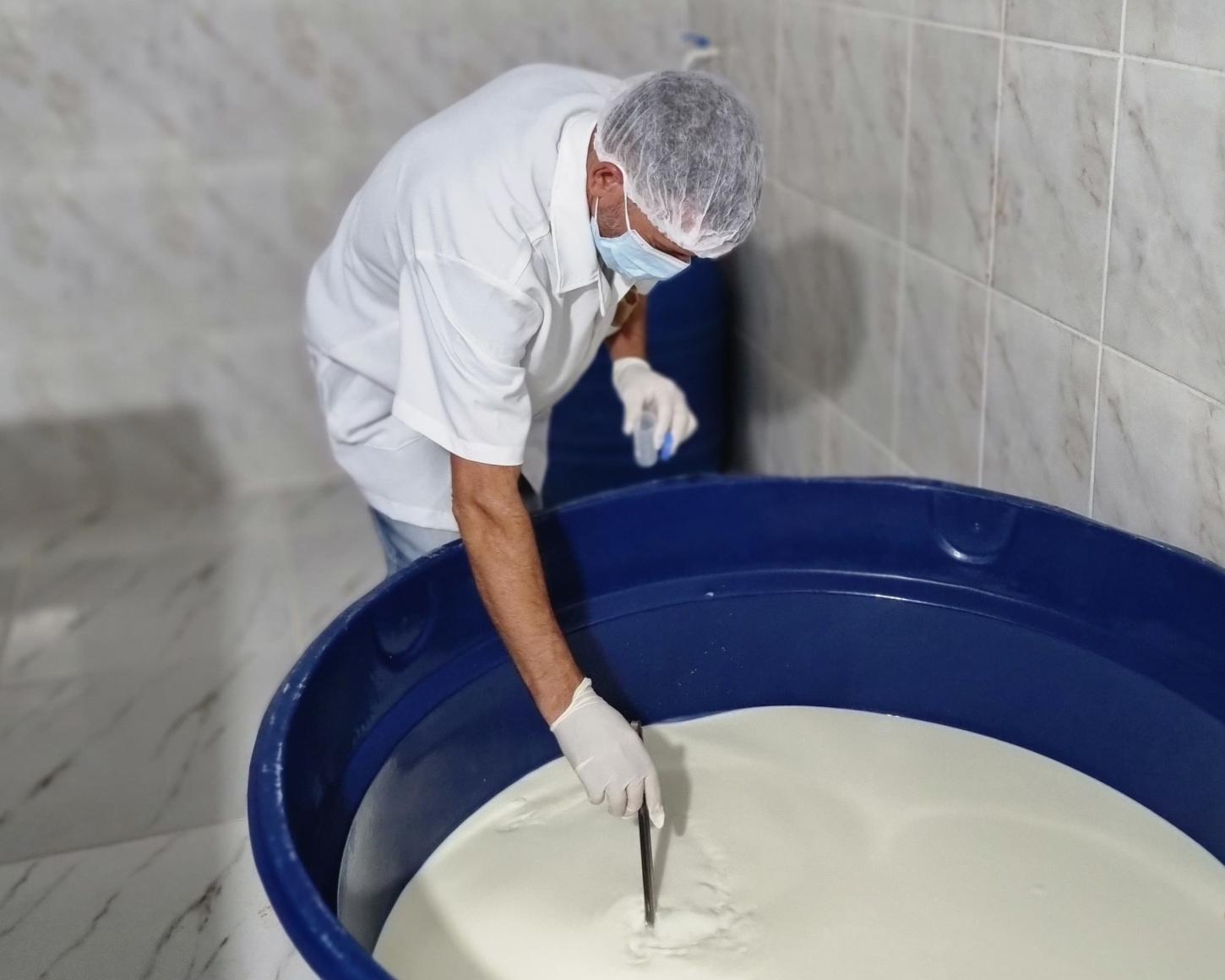 Concurso avalia qualidade do leite da microrregião do Serro e fortalece produção do Queijo Minas Artesanal