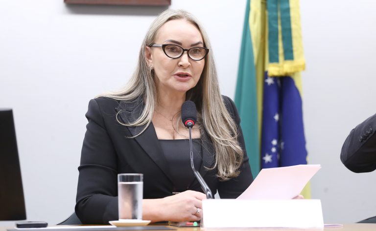 Daniela Reinehr assume presidência da Comissão de Turismo e propõe plano de competitividade