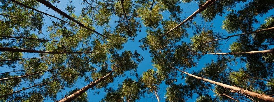 Governo de Minas lança edital de R$ 6,9 milhões para modernizar monitoramento da qualidade do ar