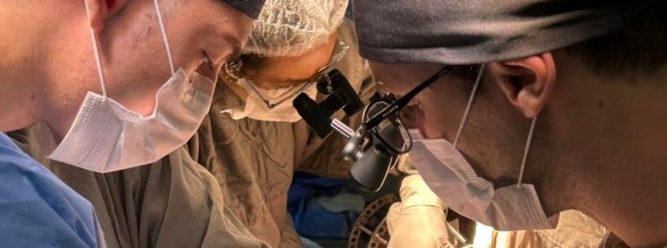 Hospital Júlia Kubitschek implementa técnica avançada de reconstrução de tecidos por microcirurgia