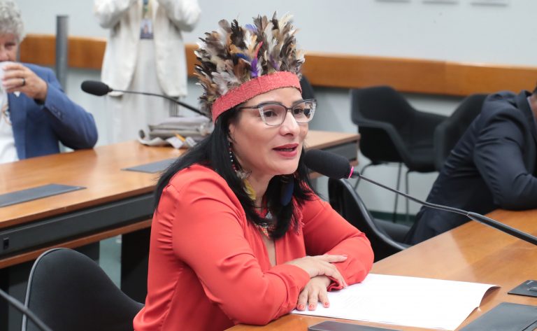 Juliana Cardoso assume presidência da Comissão da Amazônia