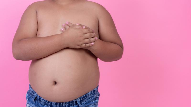 Obesidade infantil causa danos vasculares precoces, indica estudo com crianças paulistas