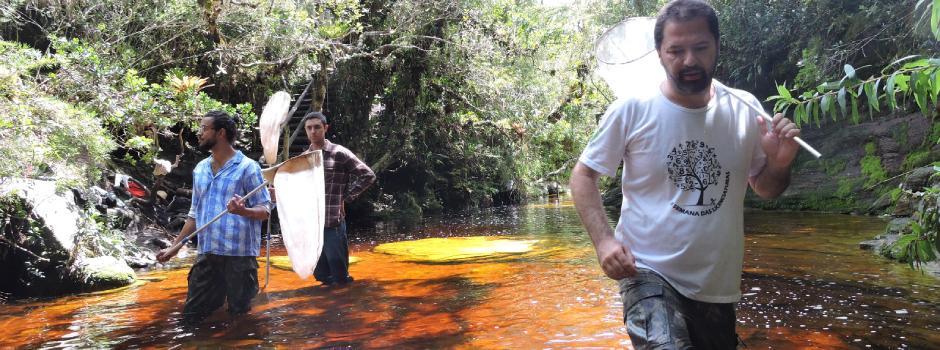 Pesquisas científicas crescem em parques estaduais e impulsionam conservação ambiental em Minas