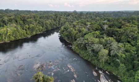 Plataforma apresenta dados integrados sobre gases de efeito estufa na Amazônia