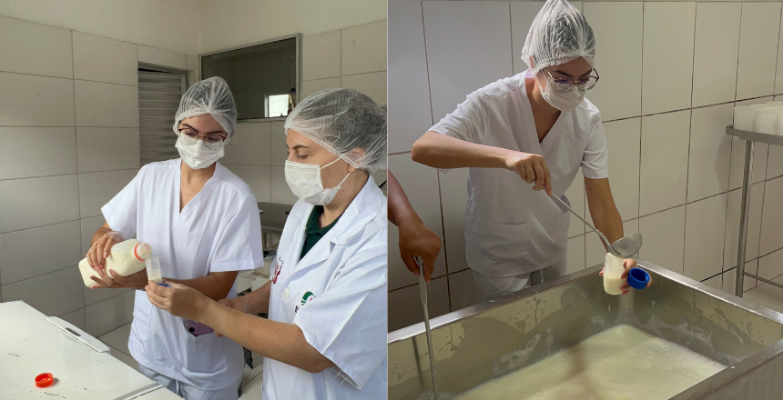 Projeto avalia qualidade do Queijo Minas Frescal produzido na região de Juiz de Fora