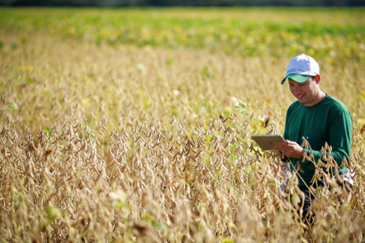 Residência agropecuária integra formação teórica e vivência prática