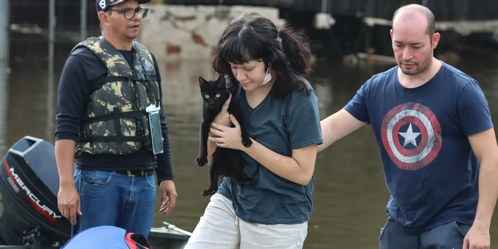 Senado aprova nova política para proteger animais em situações de desastre