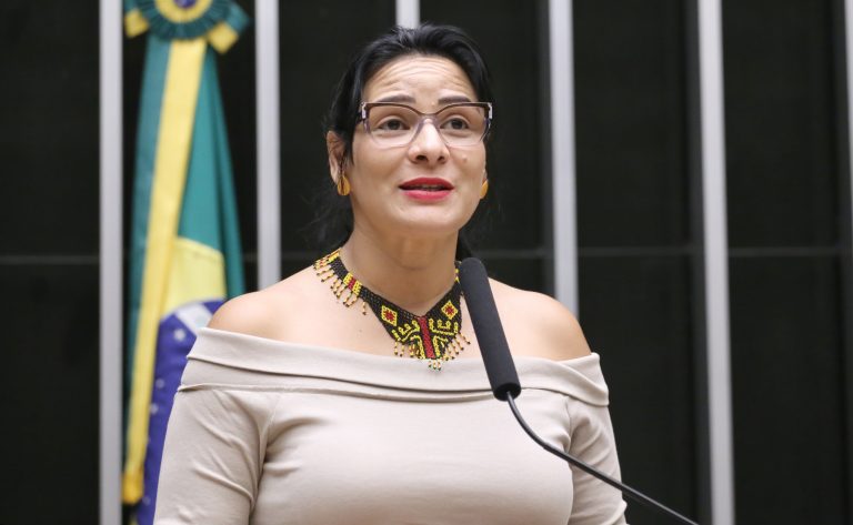 Câmara realiza audiência pública para abordar desdobramentos da COP30
