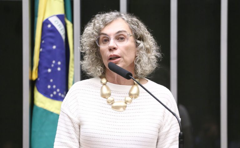Deputados aprovam mobilização nacional para erradicar a violência e o racismo contra mulheres
