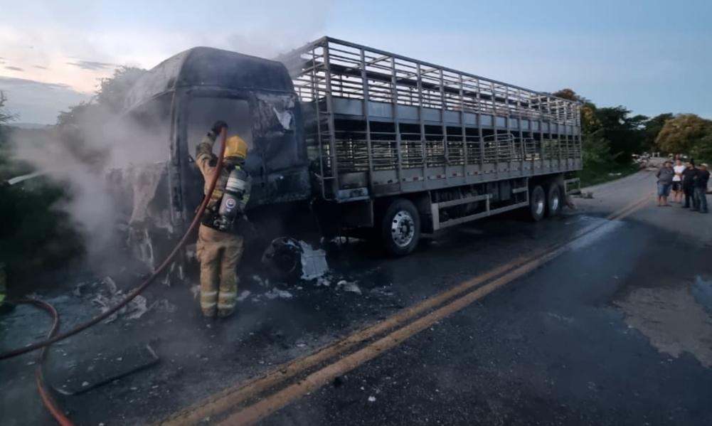 Caminhão com carga de porcos pega fogo e mobiliza bombeiros na MGC-383