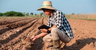 Consube aposta em tecnologia e expansão para acelerar crescimento no agronegócio