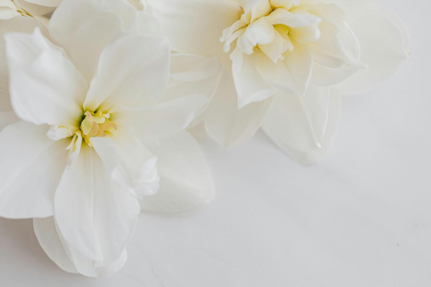 Estética off-white influencia mercado de arranjos florais