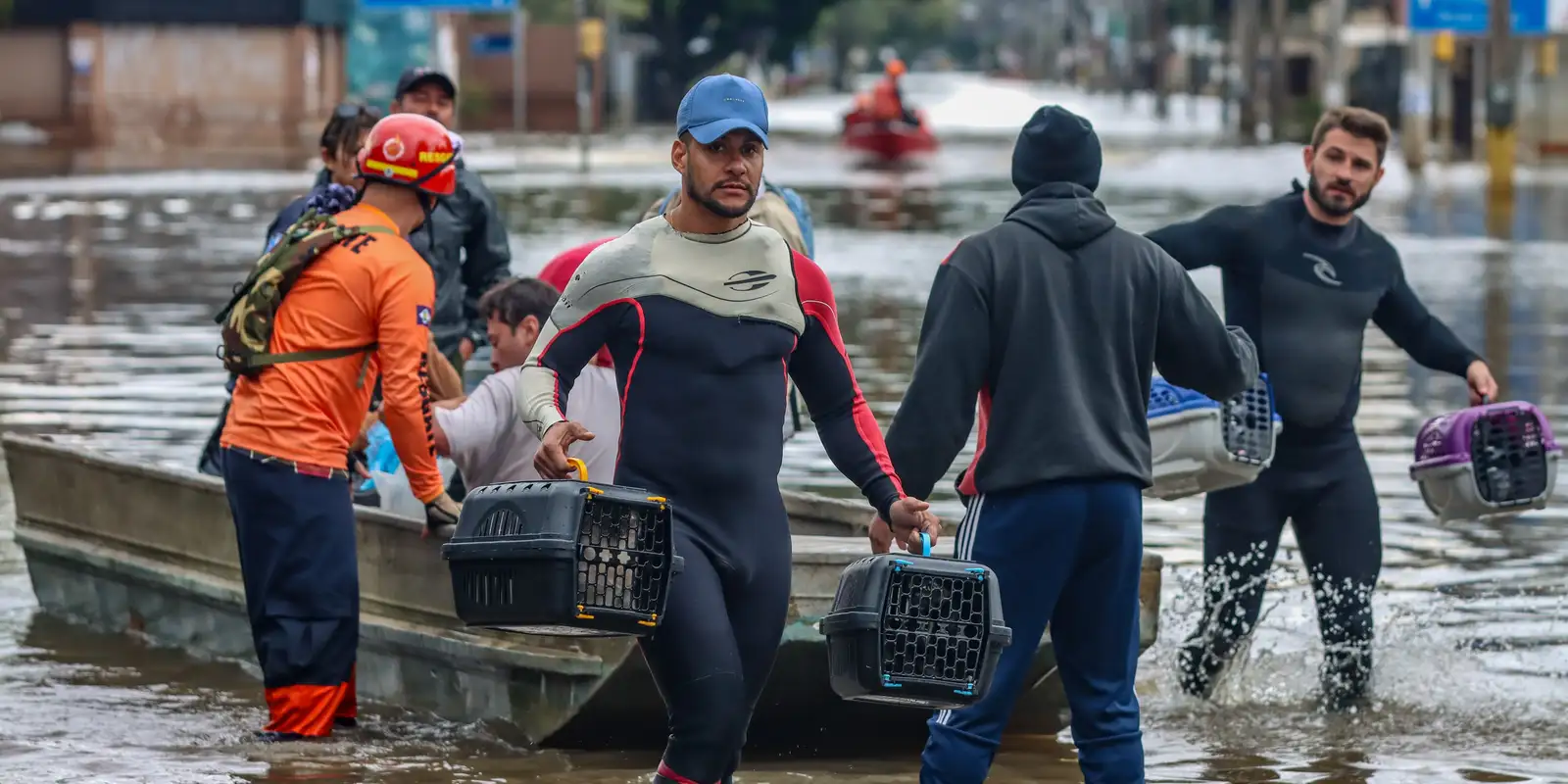Nova lei estabelece política para proteger animais em situações de desastre