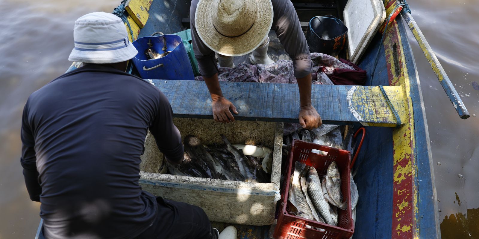 Sexto lote do Seguro-Defeso é liberado para pescadores nesta terça