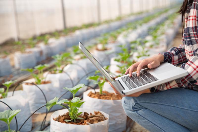Pesquisa aponta fatores-chave para ampliar a agricultura 4.0 no Brasil