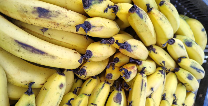 ​Prefeitura de Juiz de Fora prorroga prazo para edital de compra de alimentos da agricultura familiar