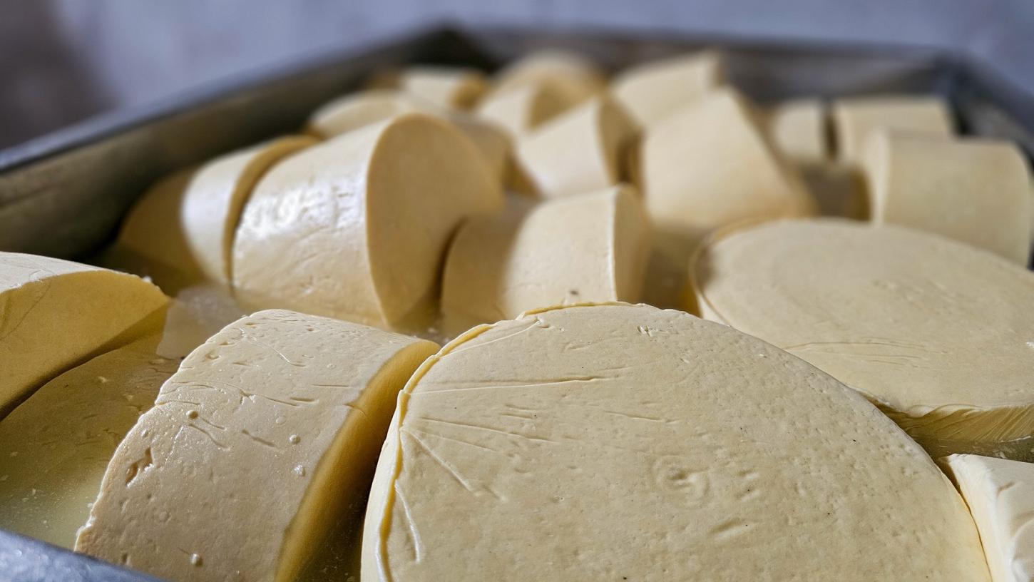Regulamentação do Queijo Artesanal do Vale do Suaçuí libera venda para todo o Brasil