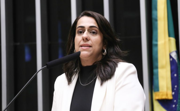 Câmara dos Deputados debate desafios enfrentados por mães de autistas