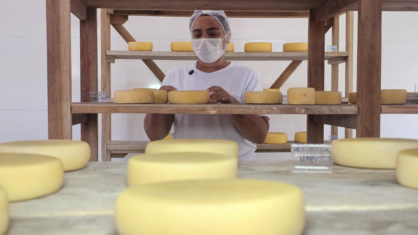 Turismo rural cresce em Minas Gerais e vira fonte de renda para produtores