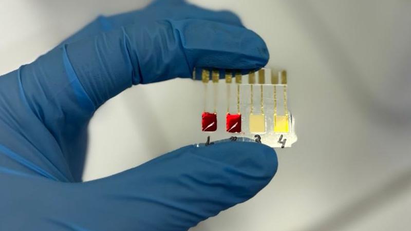 Biossensor identifica câncer de pâncreas em estágios iniciais