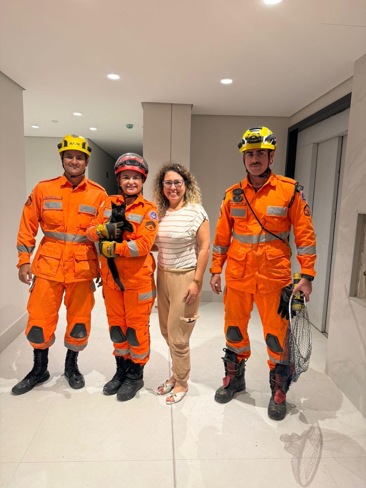 Bombeiros realizam resgate em altura e salvam gato preso em prédio