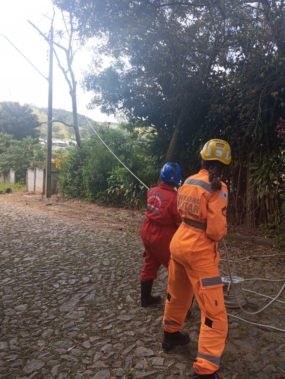 Brigada Municipal de Carandaí realiza corte seguro de árvore no bairro Cohab
