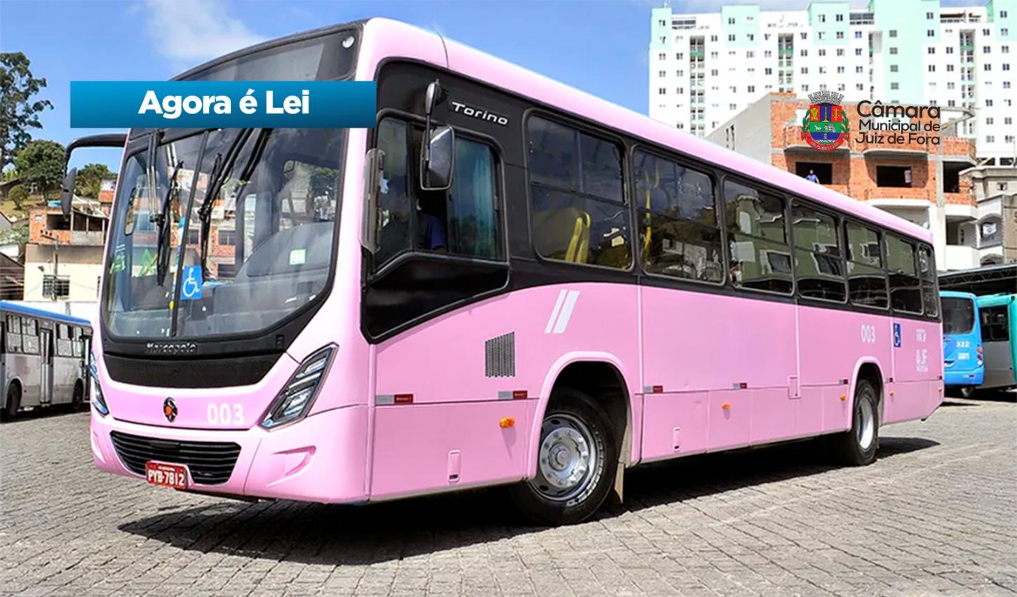 Câmara JF aprova criação do Programa Ônibus Rosa
