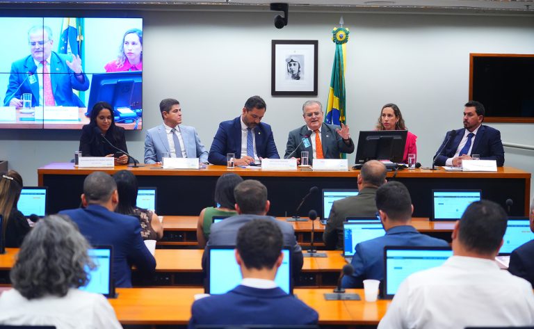 Debatedores solicitam ao STF garantia de auxílio para vítimas de Brumadinho