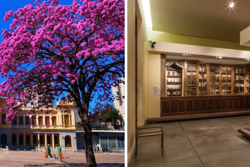 Feira da Estação celebra o Dia das Mães com edição especial no SESI Museu de Artes e Ofícios