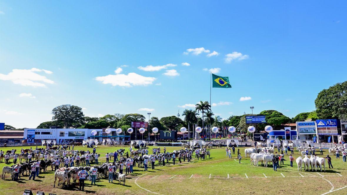 Governo lança campanha Minas Festas de Peão para valorizar raízes sertanejas