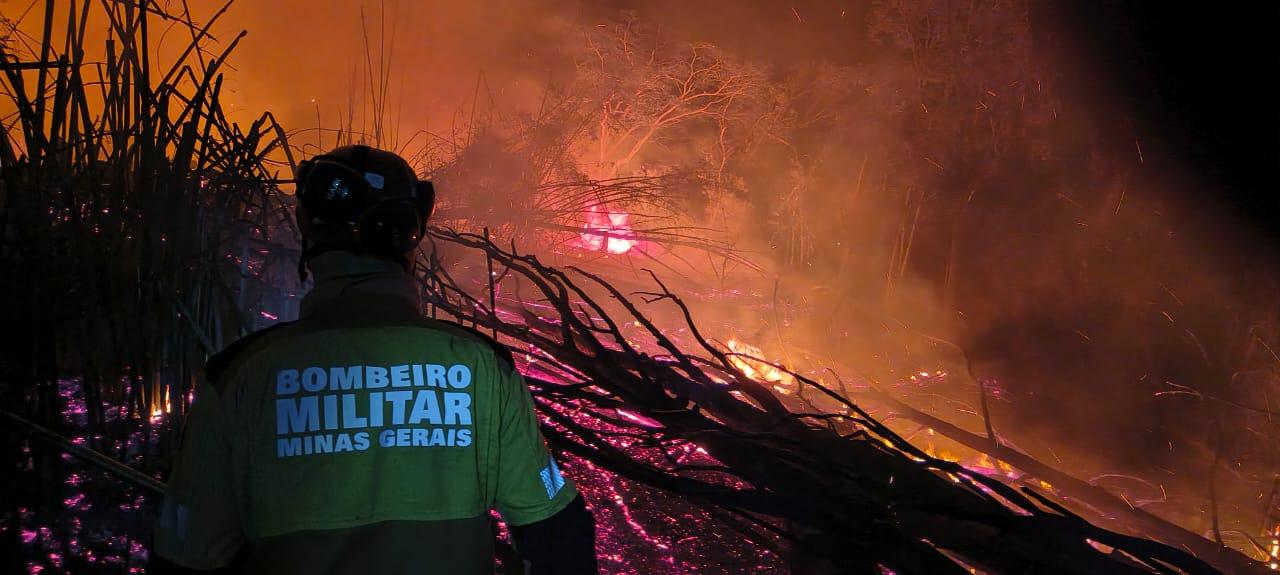 Incêndio em vegetação mobiliza bombeiros no bairro Santa Luzia, em Juiz de Fora