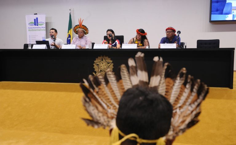 Líderes indígenas e parlamentares reforçam a importância da representatividade e da defesa territorial em seminário na Câmara