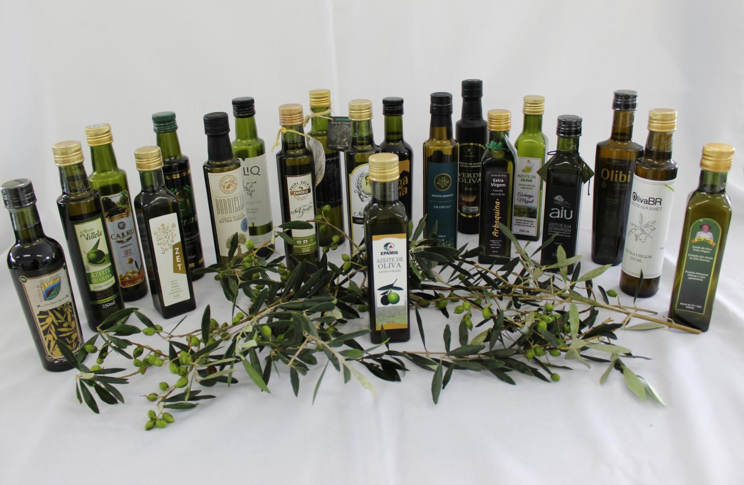 Maria da Fé sedia 7ª Festa do Azeite Novo com programação técnica da Epamig