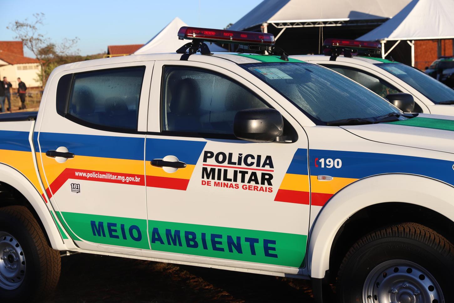 Mulher admite maus-tratos após vídeo com cachorro viralizar em cidade de MG
