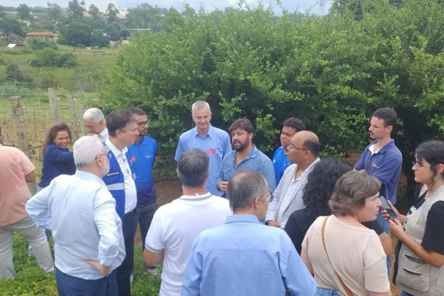 Potencial da viticultura de inverno em Minas Gerais é destacado