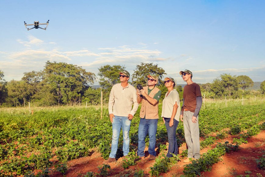 Sistema Faemg Senar lança campanha que une agro, cultura e Formação Profissional Rural