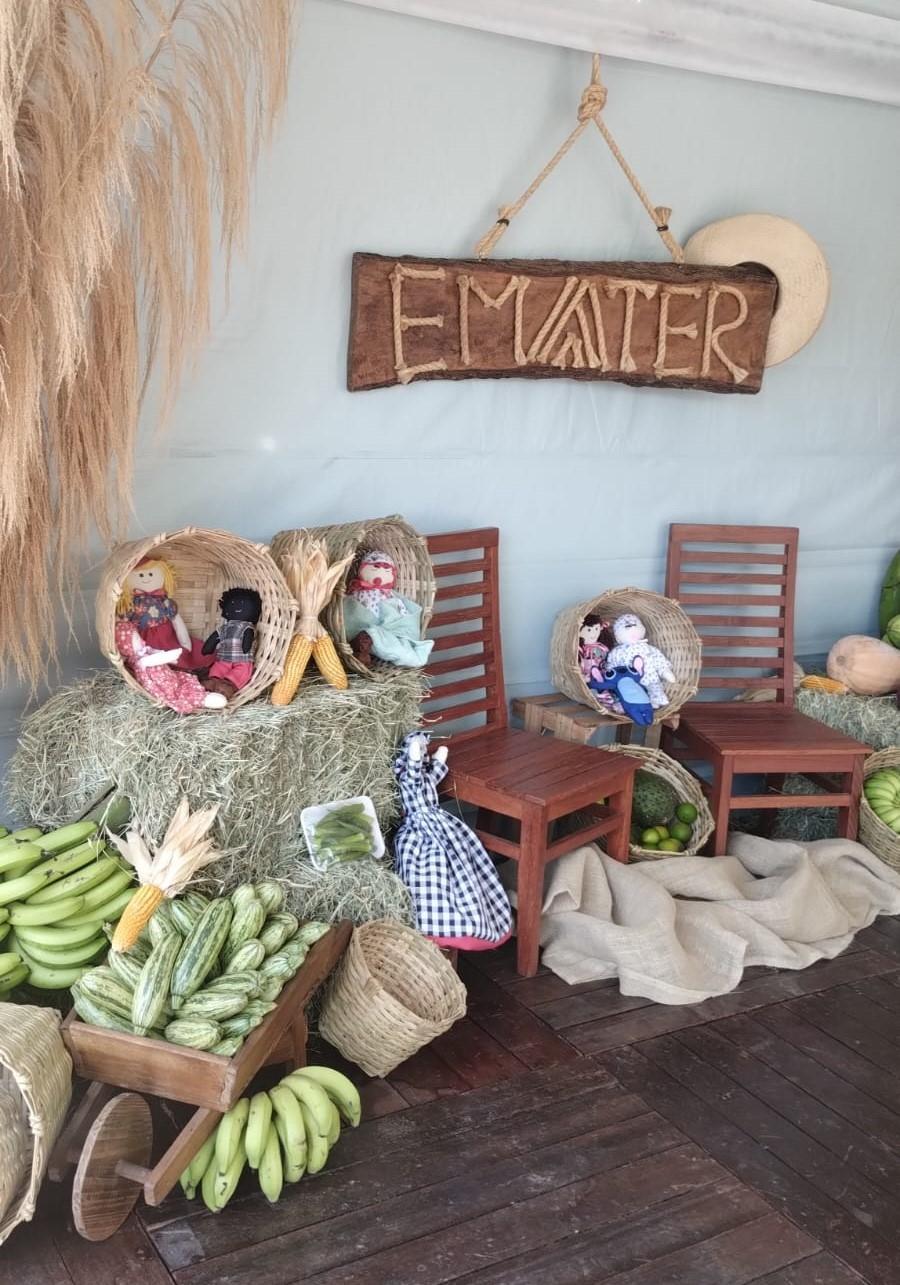 Agricultura familiar é destaque na 81ª Expo Curvelo 2026