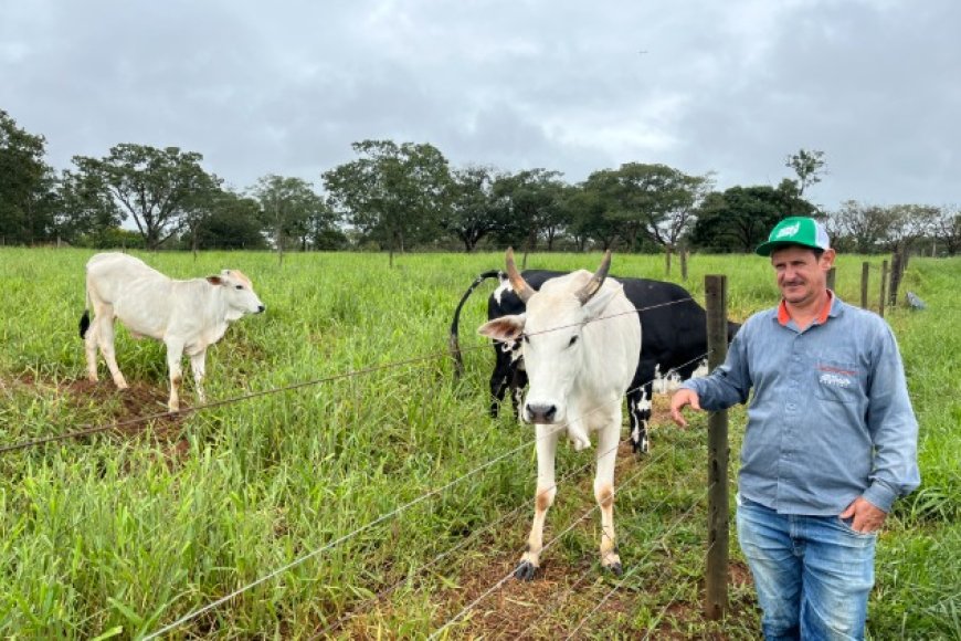Projeto Agro + Verde impulsiona recuperação ambiental e pecuária sustentável no oeste de Minas Gerais