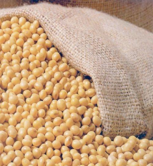 Agronegócio de MINAS GERAIS bate recorde histórico e atinge US$ 19,9 bilhões em exportações