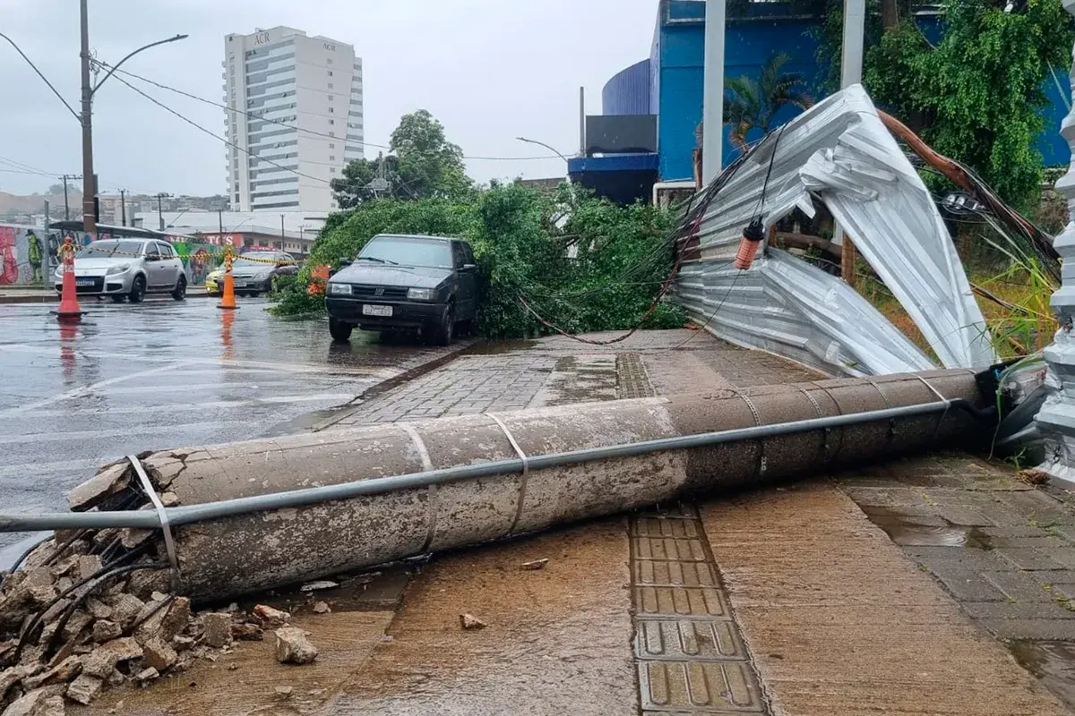 Chuva forte provoca quedas de árvores e interdições em Juiz de Fora