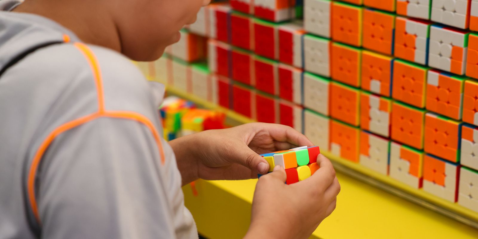 Primeira etapa do Censo Escolar 2026 inicia coleta de dados