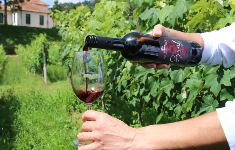 Epamig integra projeto para obter Denominação de Origem de vinhos em Minas Gerais