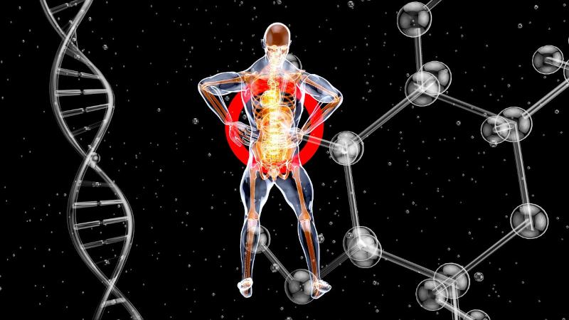 Estudo identifica rede de autoanticorpos em doenças neurodegenerativas