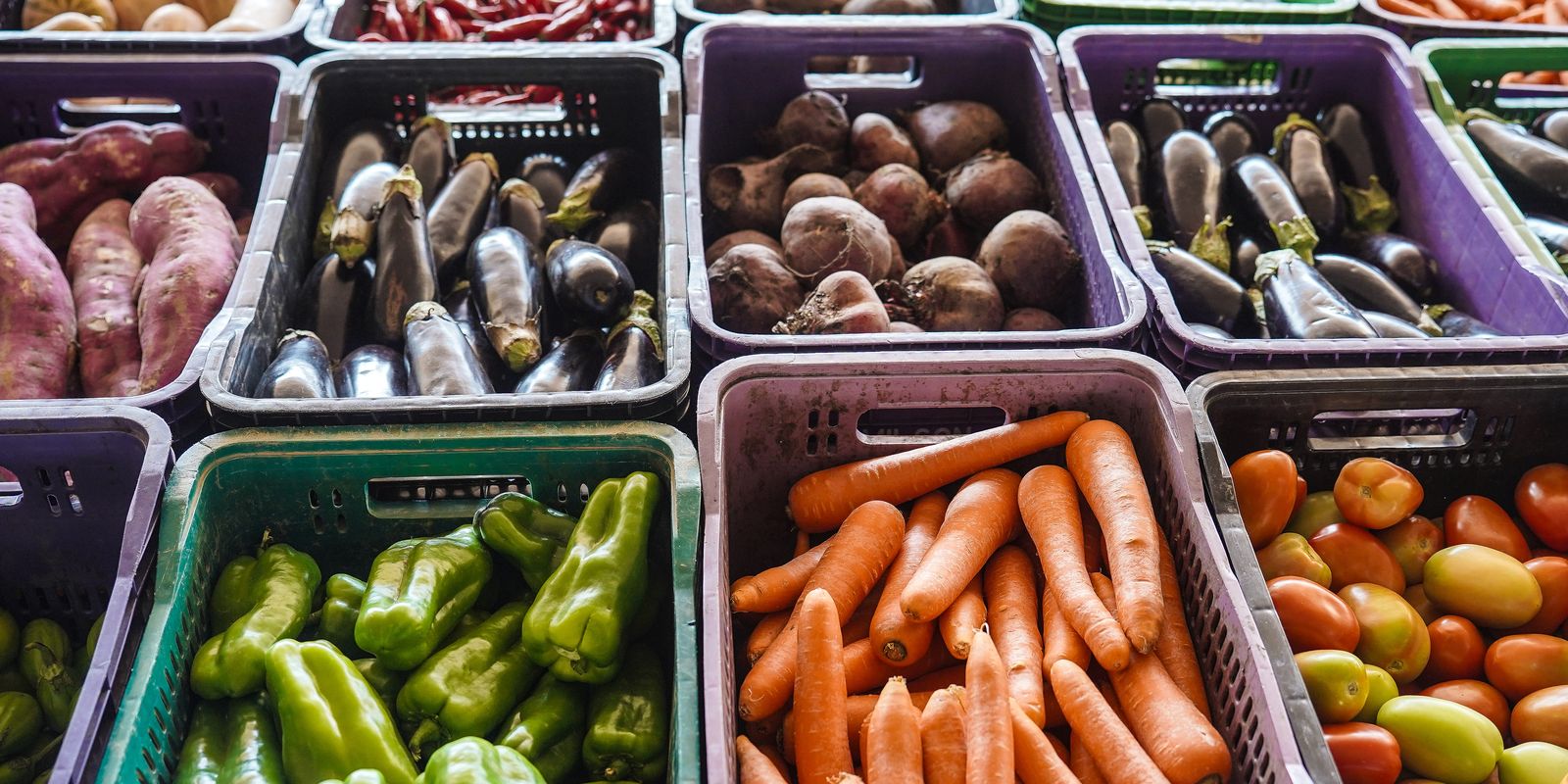 INCAvoluntário lança campanha para apoiar pacientes vulneráveis com o Programa Nutrir