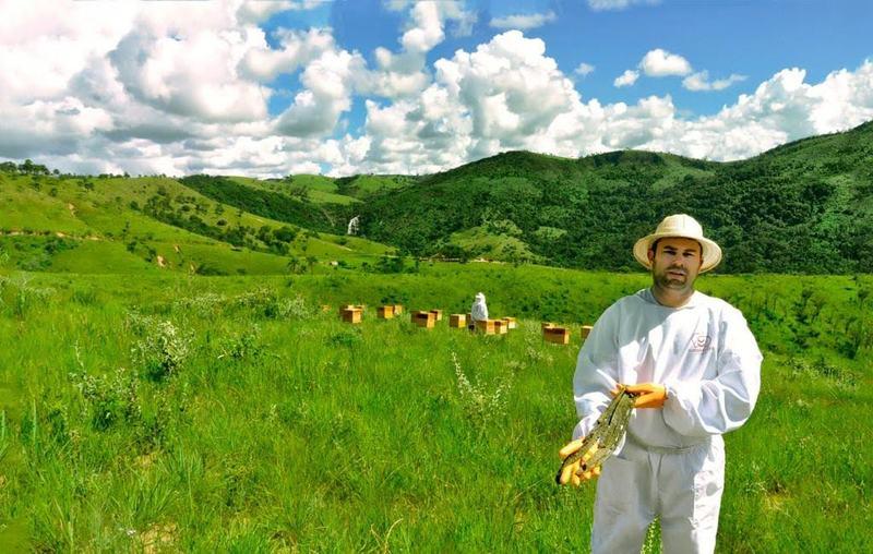 Pesquisas impulsionam produção de própolis-verde na Serra da Canastra em Minas Gerais