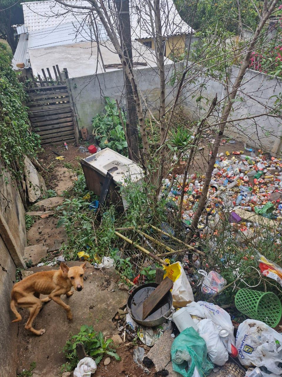 Polícia prende homem em flagrante por crimes contra animais em Carandaí, Minas Gerais